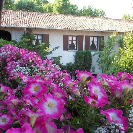Agriturismo Cassinazza Orsenigo Exterior foto